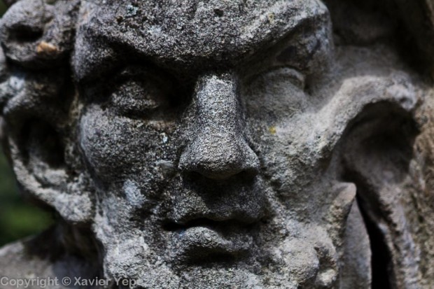 Satyr face, close up, Villa Sciarra